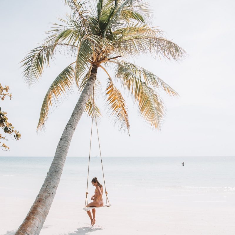 Tropical paradise